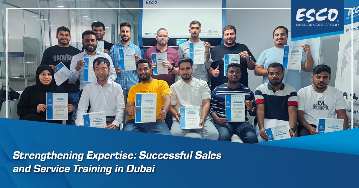 Strengthening Expertise: Successful Sales and Service Training in Dubai